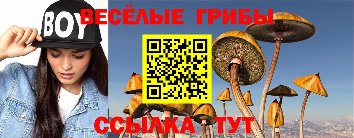 Белгород  Галлюциногенные грибы MAGIC MUSHROOMS  Вход с VPN  Псилоцибиновые грибы Psilocybine cubensis 