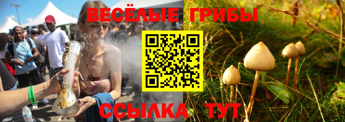 Псилоцибиновые грибы Cubensis Белгород