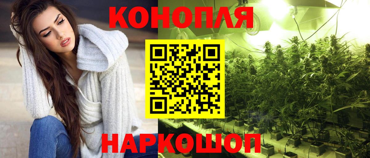 Конопля LSD WEED  Каннабис план  Бошки Шишки планчик  Вход с VPN  Белгород 